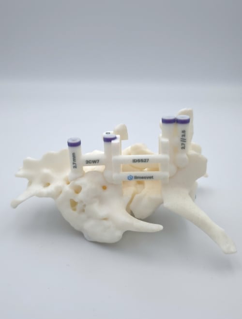 PERSIC - Custom 3D-Printed Spinal Surgical Guide System for Dogs & Cats