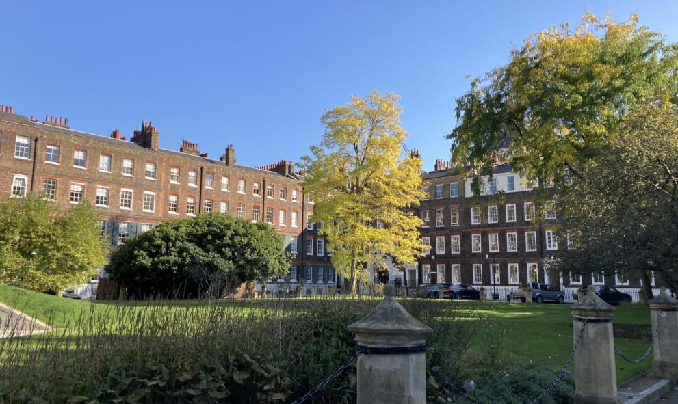 A view of New Square buildings from across the garden.
