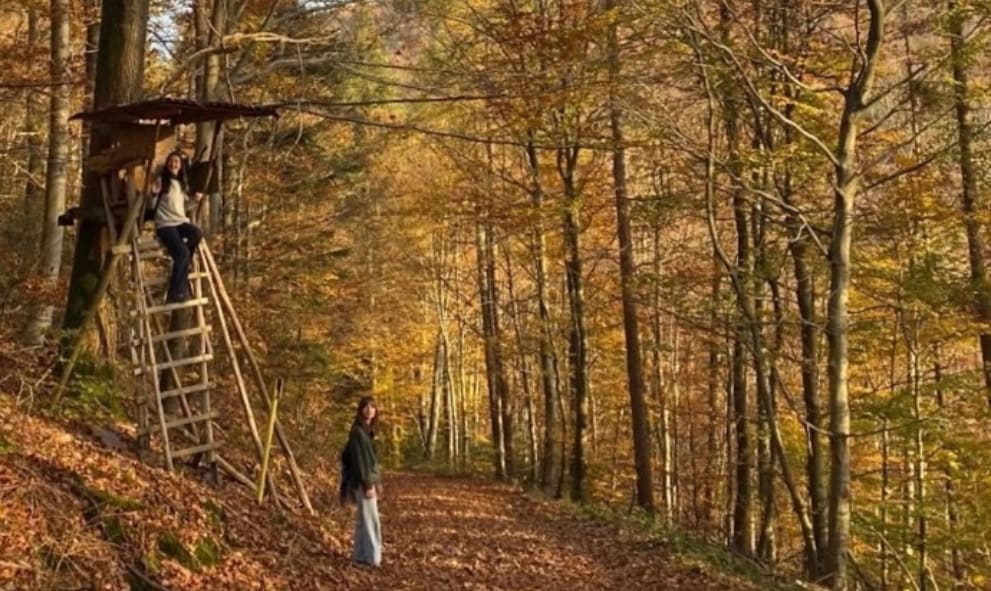 Two people enjoy an autumn forest. One sits on a wooden platform in a tree; the other stands below. Sunlight filters through the orange leaves, creating a warm, serene atmosphere.