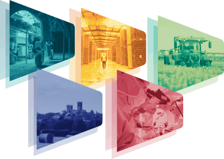 Sector image