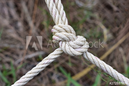 preview-image