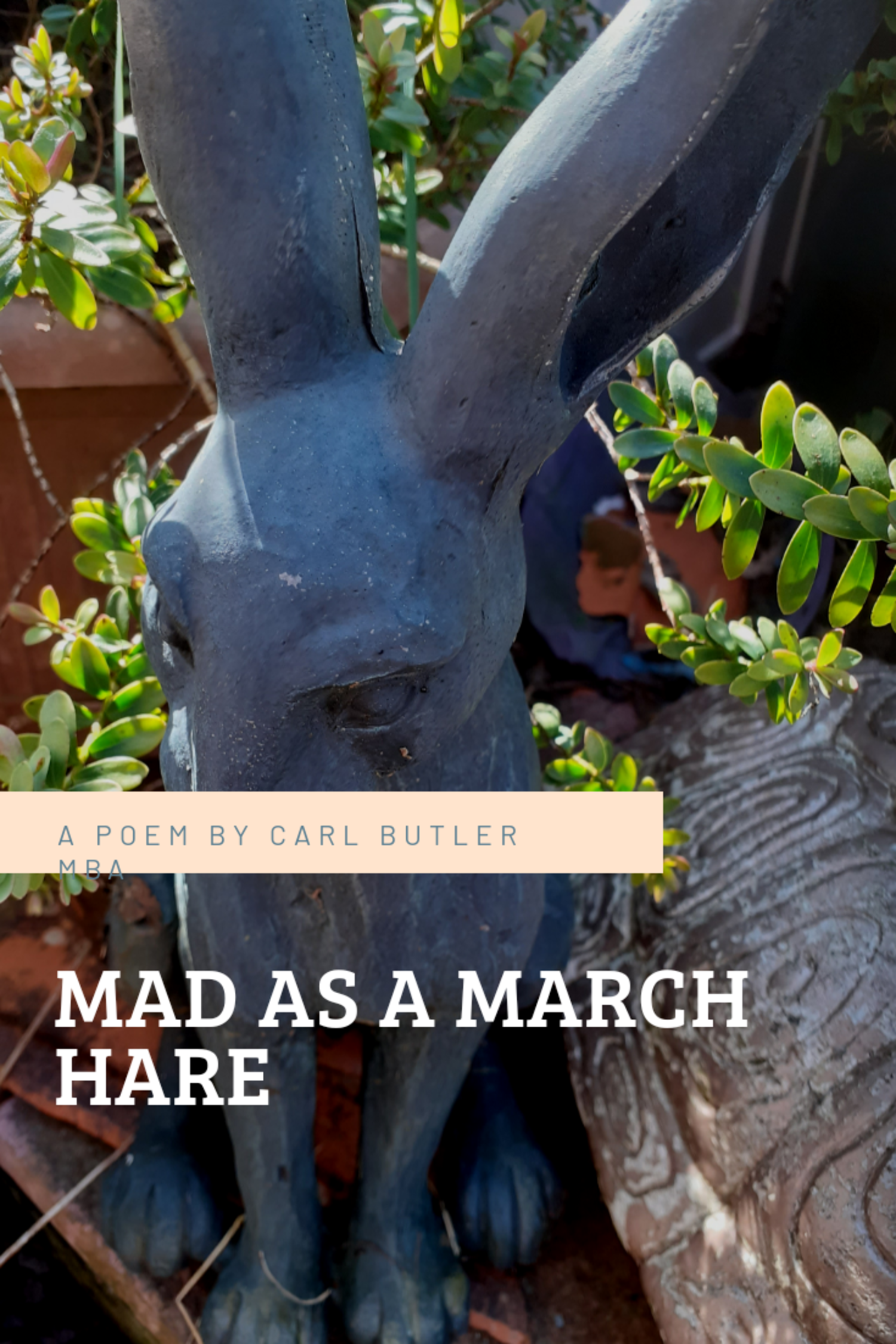 Mad as a march hare Carl butler Line of Poetry