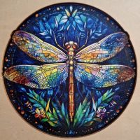 Dean Jones Dragonfly Poet
