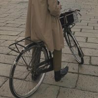 ApprenticeDetective