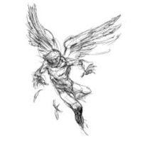 Finch