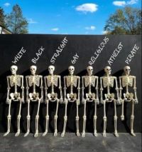 We Are All Made of Bones