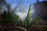Feel The Spring