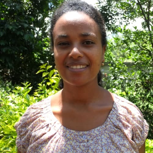 Lensa Abera