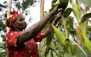 Food, Diet and Climate Change Food, Diet and Climate Change