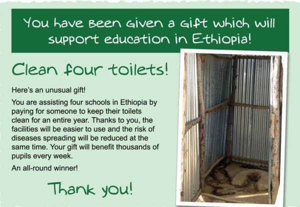 Clean A Toilet (4 Schools)