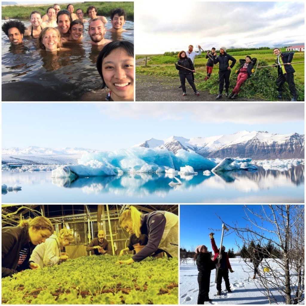 [해외봉사] 아이슬란드 환경보호 봉사활동! 환경보호 실천하며 ESG경영 배우기! (인증서, 수료증 제공)