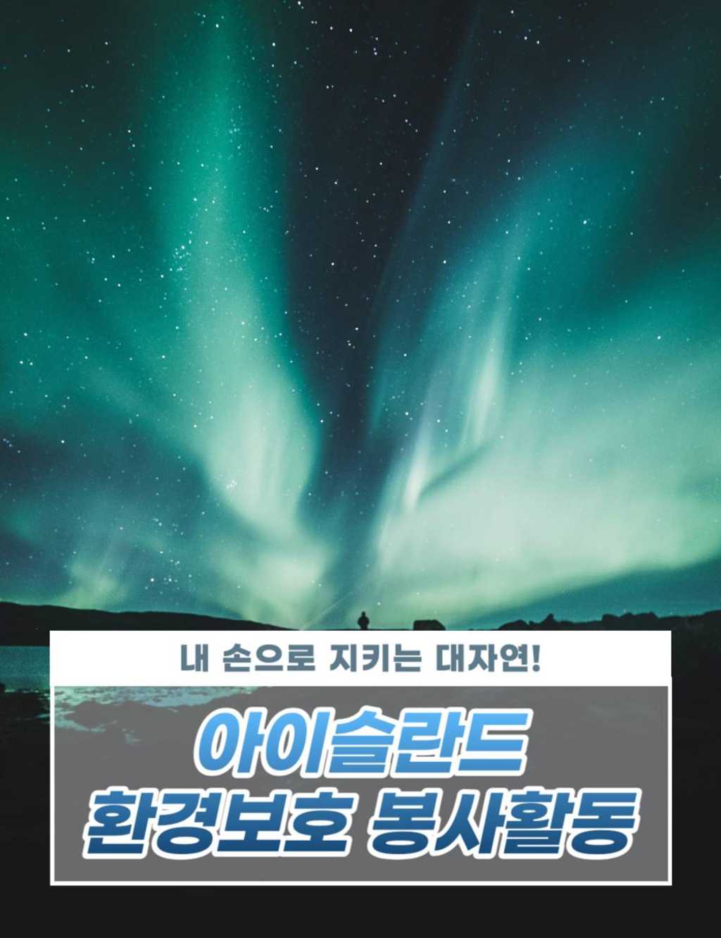 [환경보호] 외국인 친구들과 함께 하는 아이슬란드 환경보호 봉사활동