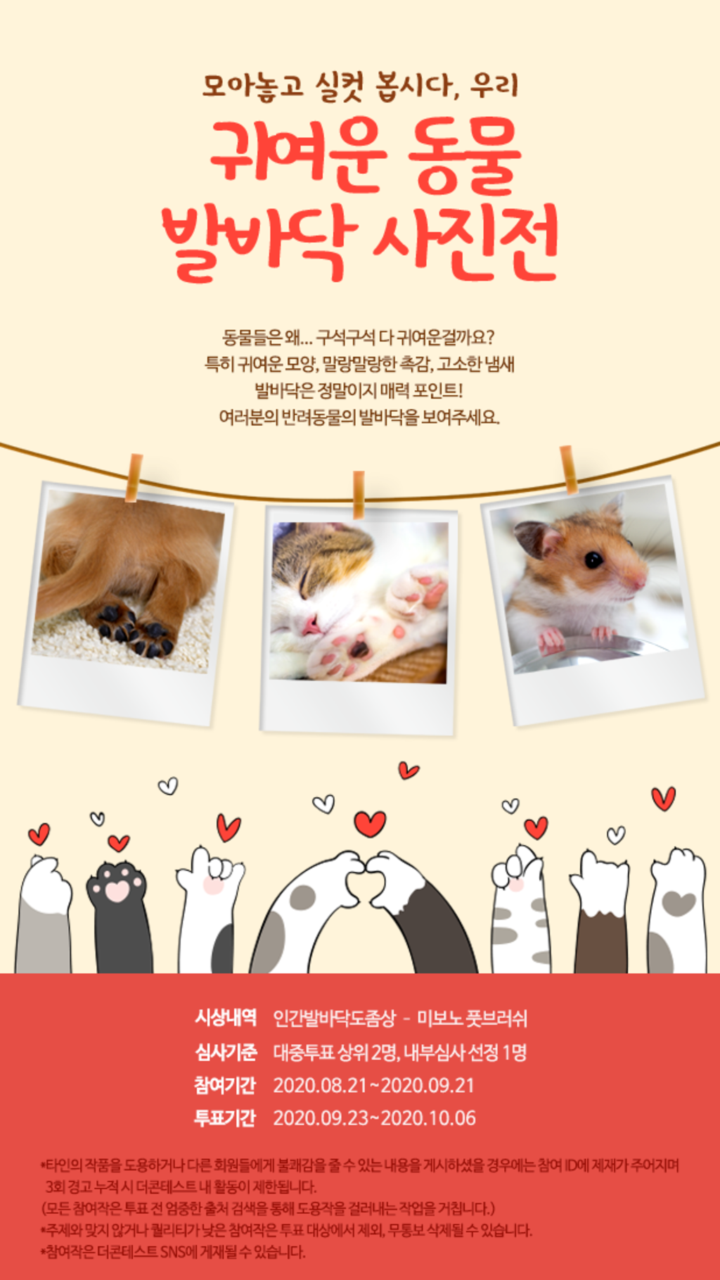 정말 귀여운 동물의 이미지