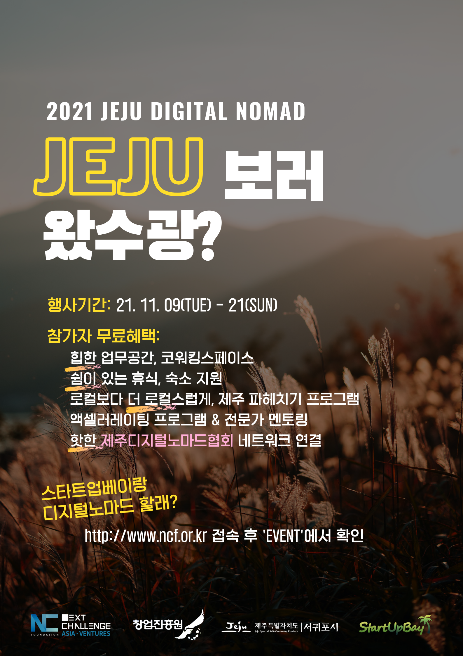 2021 JEJU DIGITALNOMAD WEEK 'FALLing in JEJU with STARTUPBAY' 참가자모집