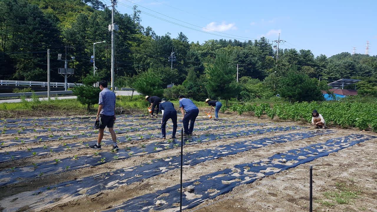 한국임업진흥원&에코브릿지_대학생 귀산촌 캠프