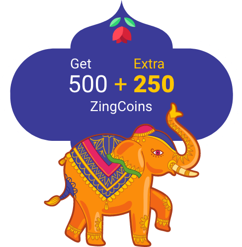 Zingoy Double Coinback Utsav Zingoy Double Coinback Utsav