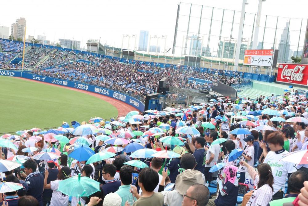 東京ヤクルトスワローズのファン