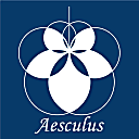 Aesculus