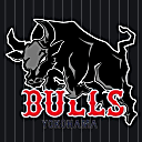 BULLS