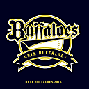 オリックス・バファローズ