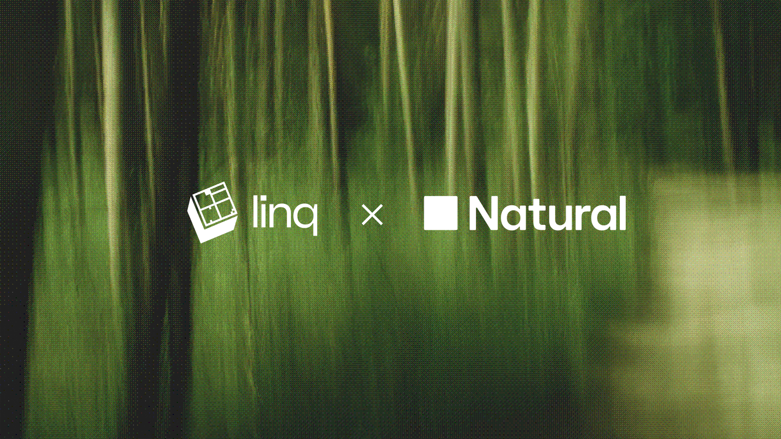 Linq Agent Pay now supports Natural