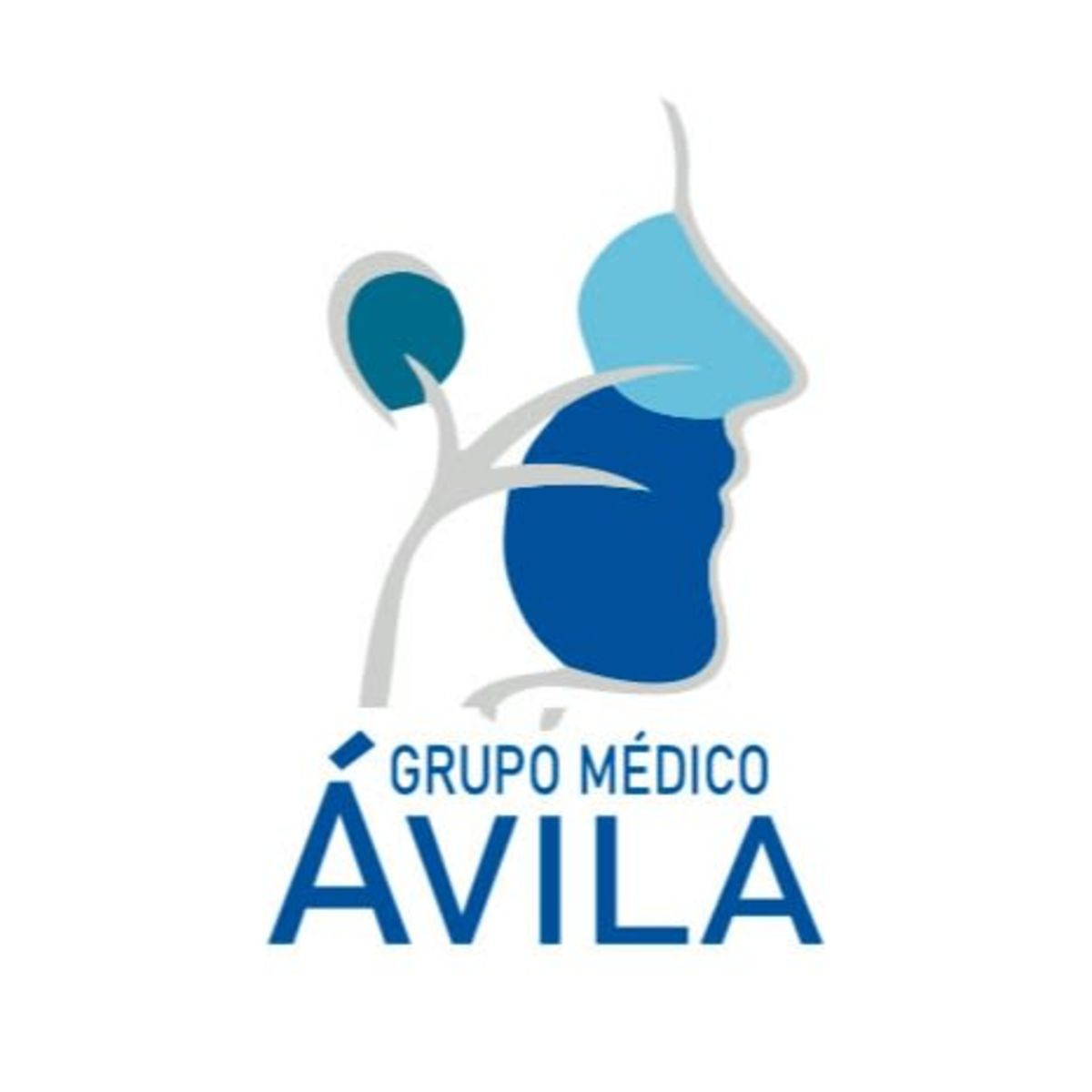 Linq - Grupo Médico Ávila