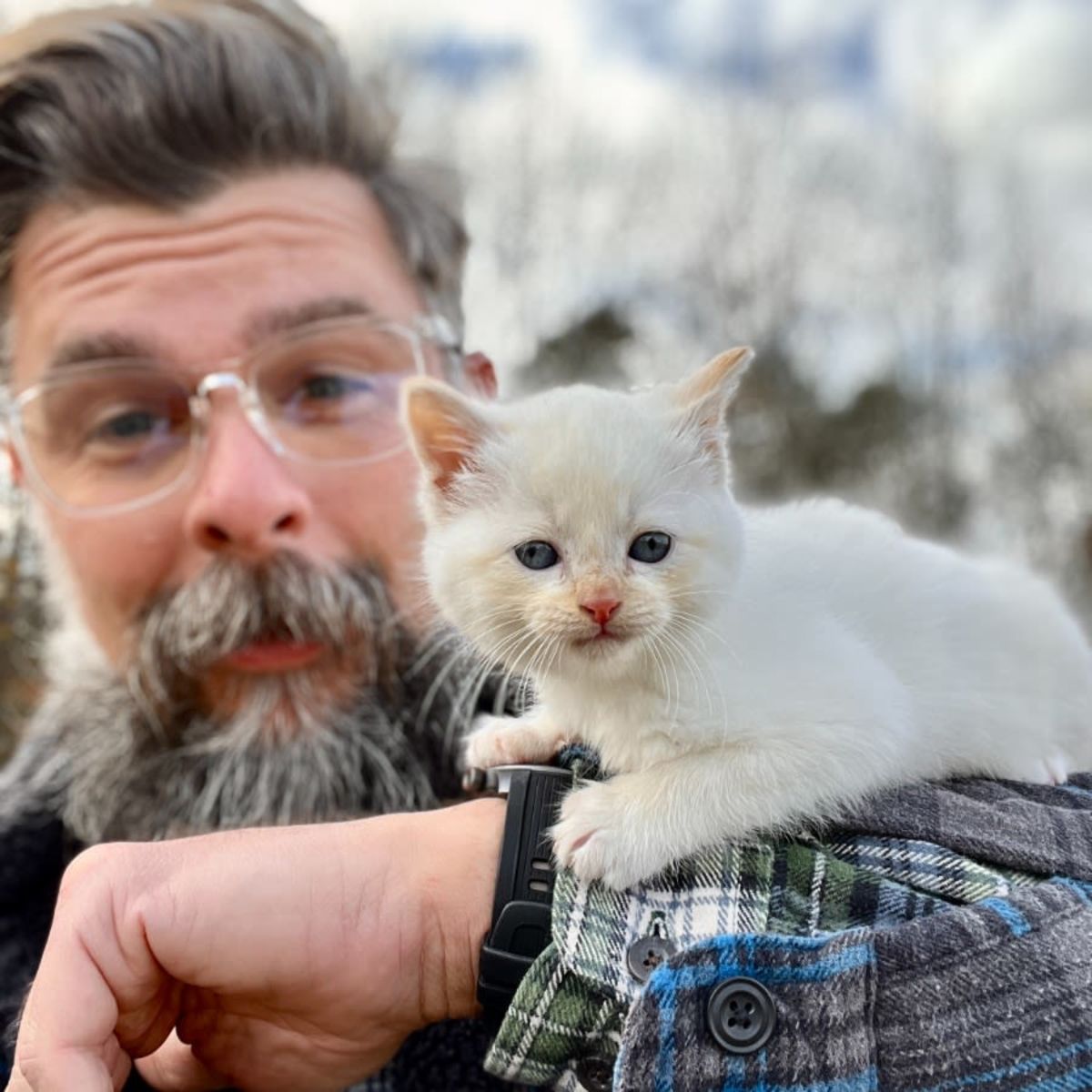 Linq - Nick and Muscles