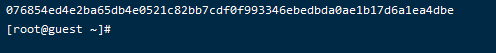 docker的十六进制文本
