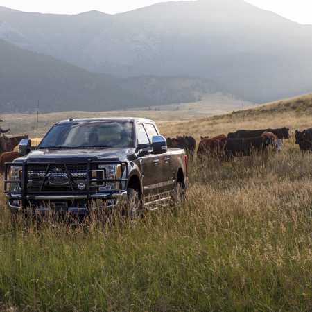 Legend Grille Guard, Fits Select Chevrolet Colorado