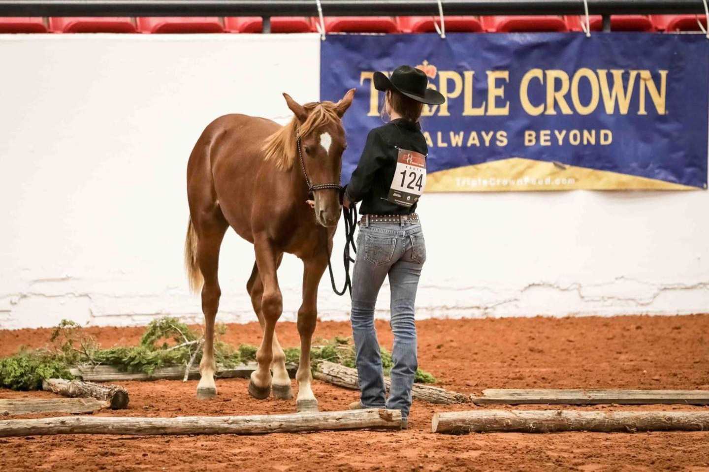 leah-martin-competing-mustang-makeover-triple-crown
