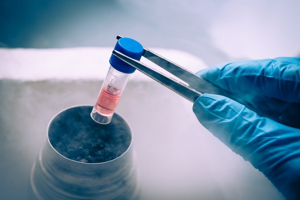 Stem Cells