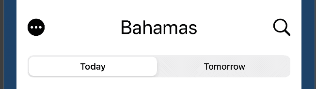 SwiftUI - Custom Navvigation Bar