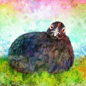Pencil - Digital Painting of Hen