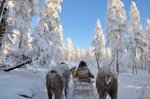 Oymyakon