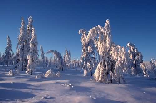 Verkhoyansk