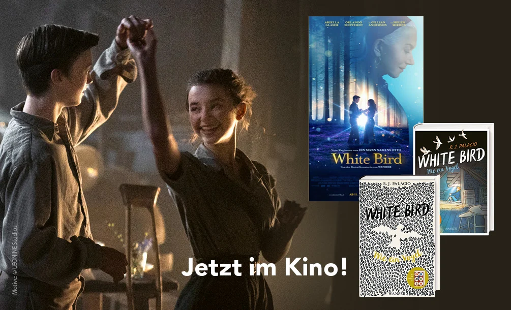 Jetzt im Kino