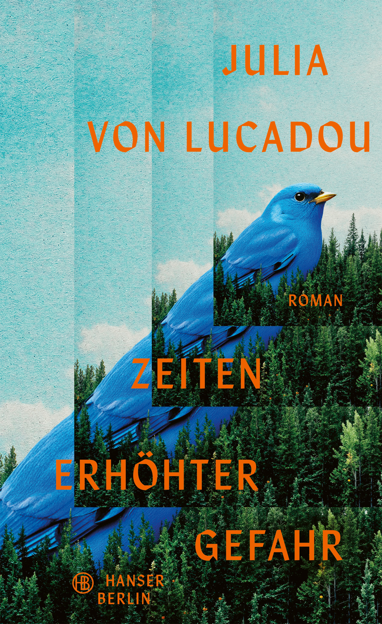 Cover: Zeiten erhöhter Gefahr von Julia von Lucadou