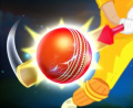 City Cricket - LitGamez City Cricket - LitGamez