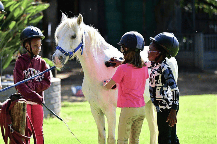 Pony Fun Day
