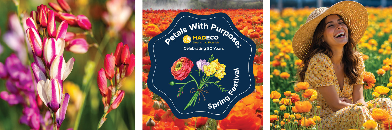 Petals with Purpose: Spring Festival