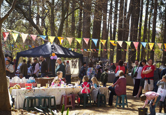 Irene Village Market