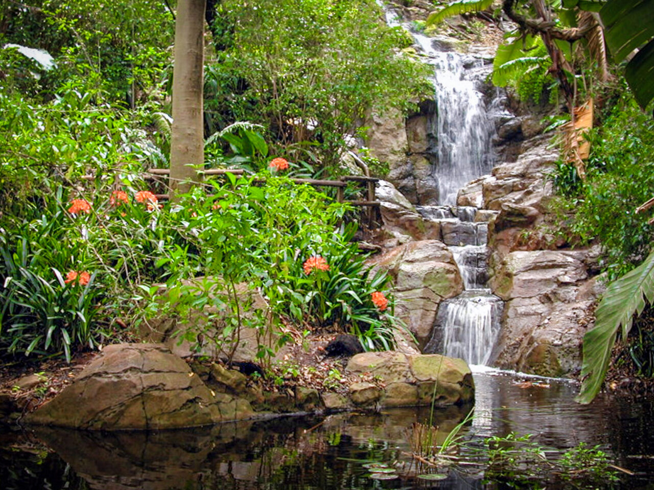 Image 2 of 2 for Pretoria Botanical Gardens