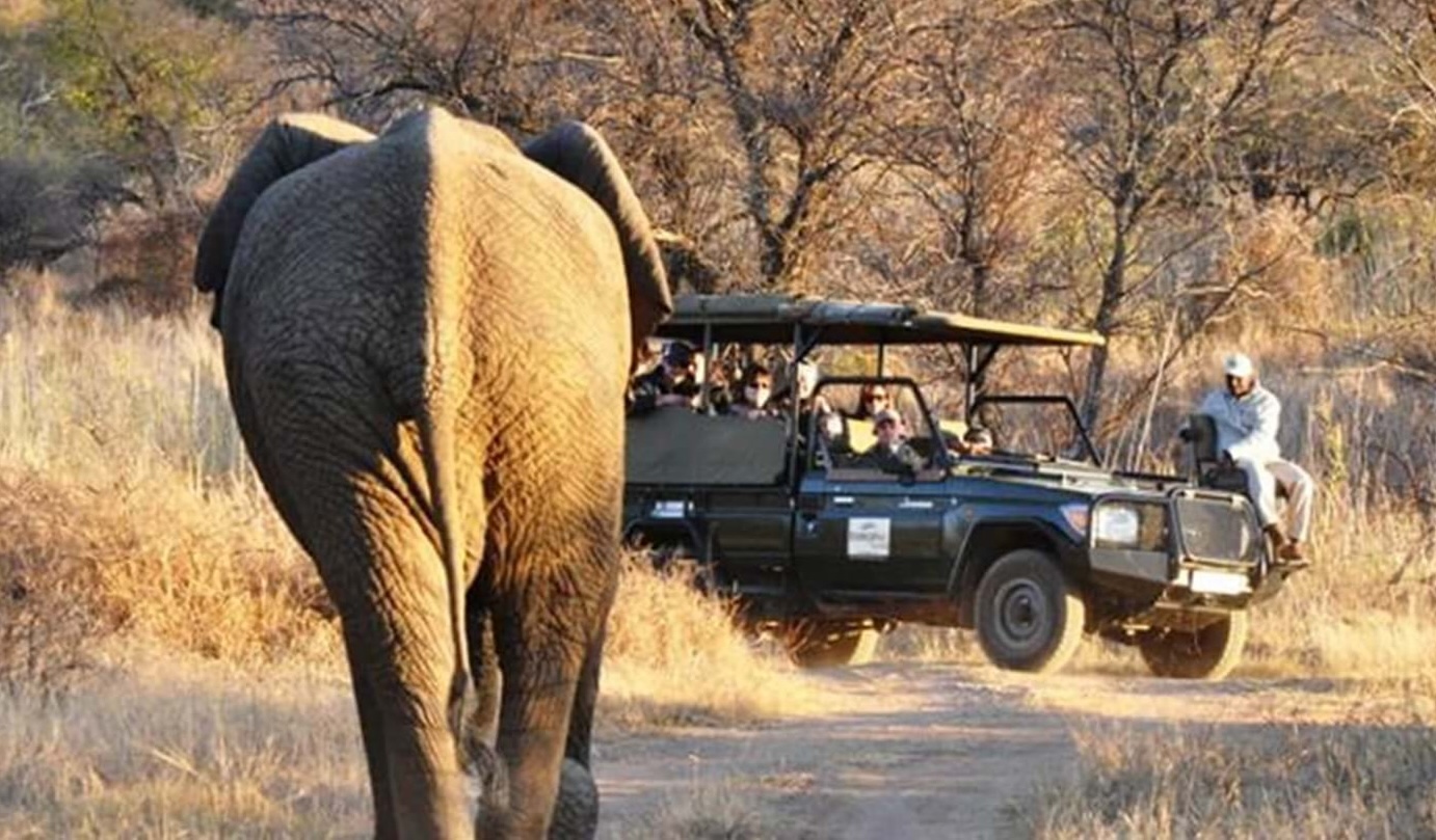 Image 2 of 2 for Dinokeng Game Reserve