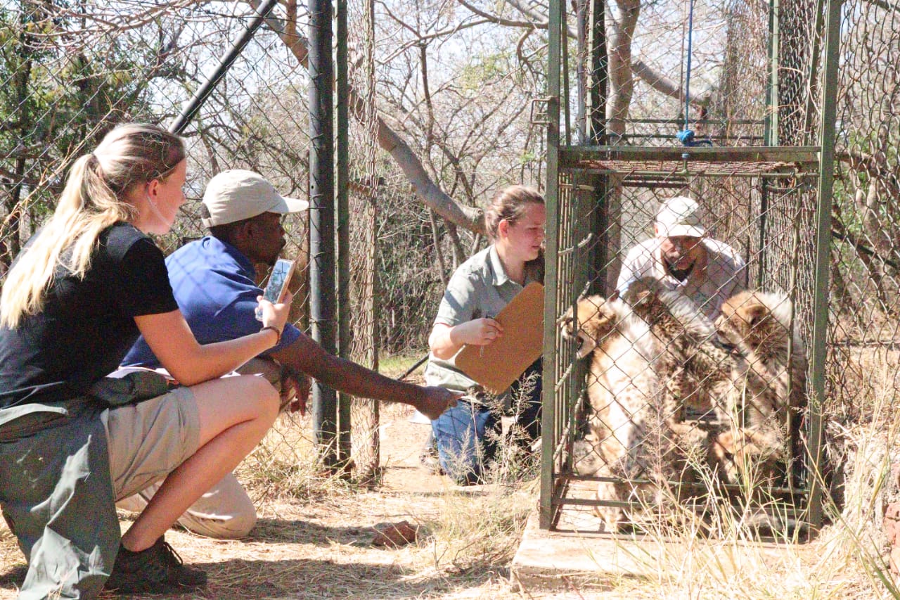 Ann Van Dyk Cheetah Centre