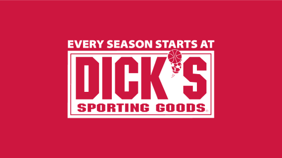 dsg logo