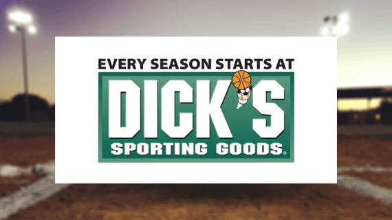 DSG field logo