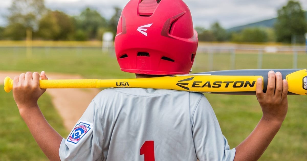 Bat Rules Little League