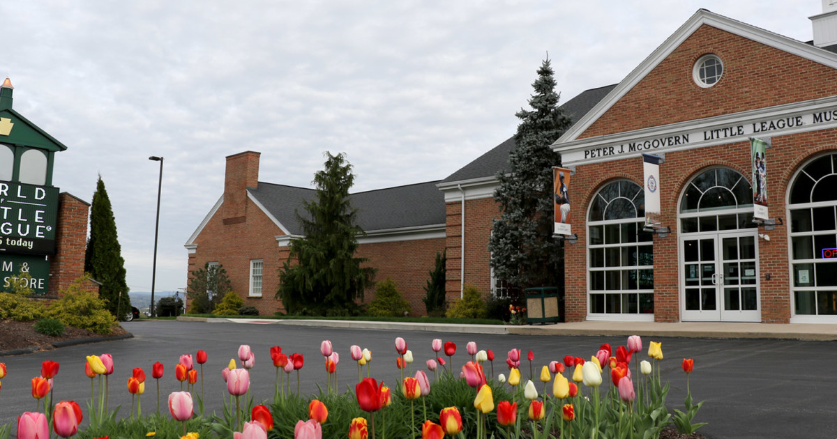 Shop at the Museum - Little League