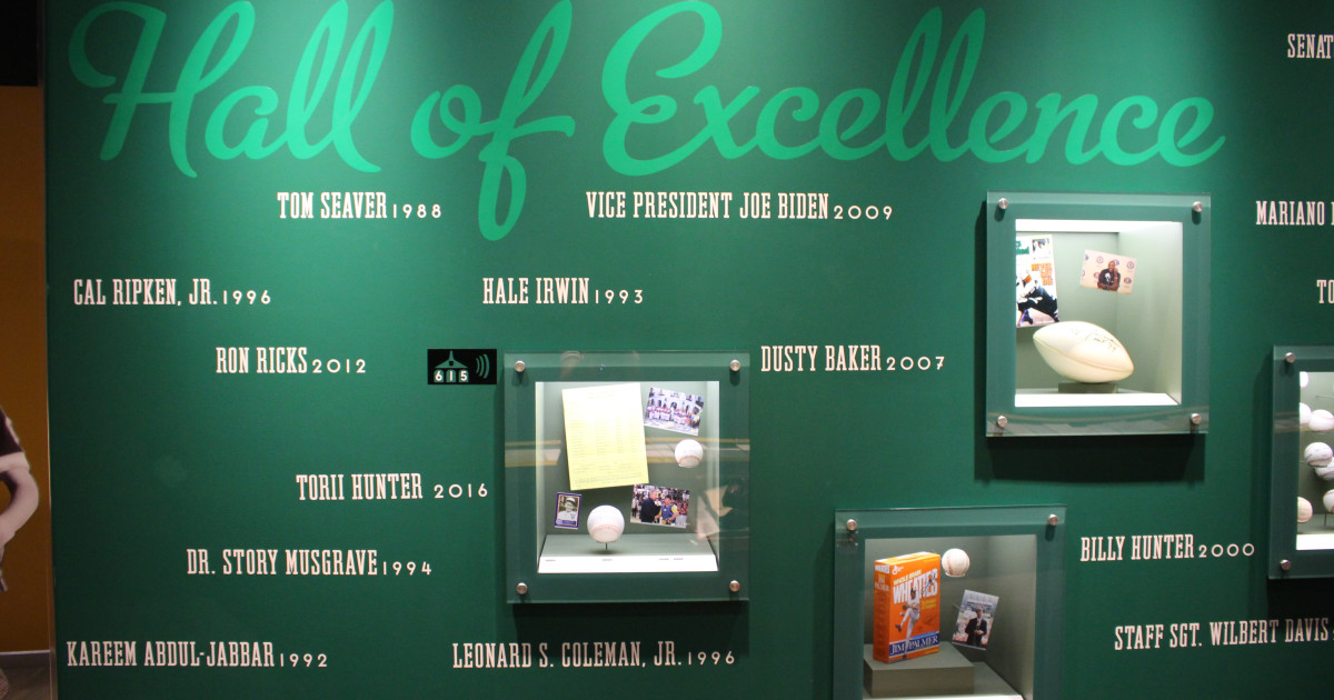 Professional hockey adds two stars to the Little League Hall of Excellence