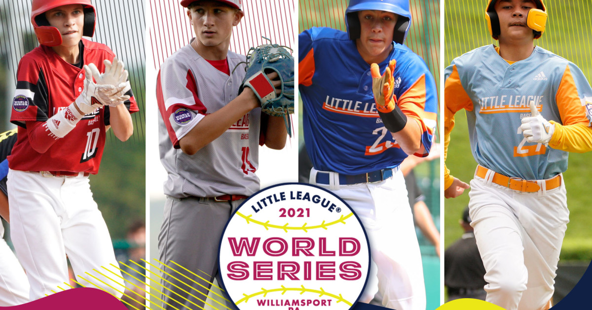 Michigan wins Little League World Series title